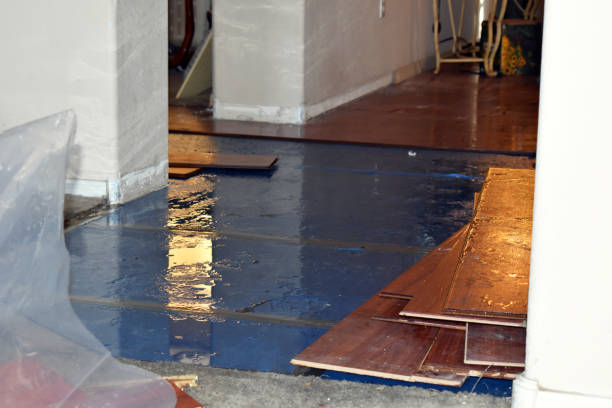 Professional Basement Flood Cleanup technician working in Chickamauga, GA